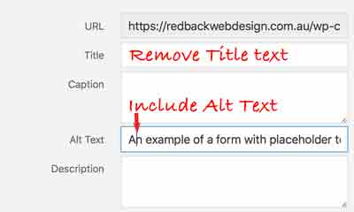 Remove title text written in title field and include Alt text written above Alt text fiesta